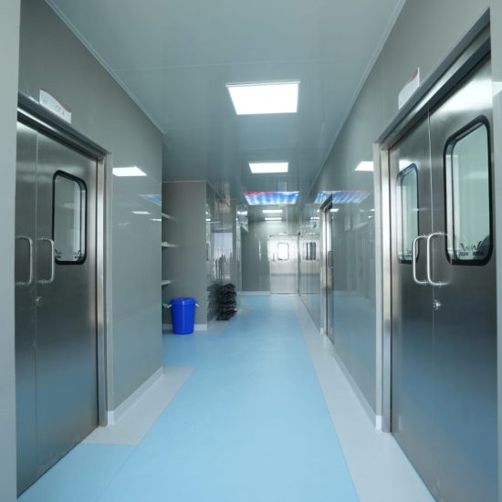 WhatsApp Image 2025-12-30 at 12.17.49 PM (1)